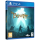 Gra PS4 inXile Entertainment THE BARD'S TALE IV PlayStation 4